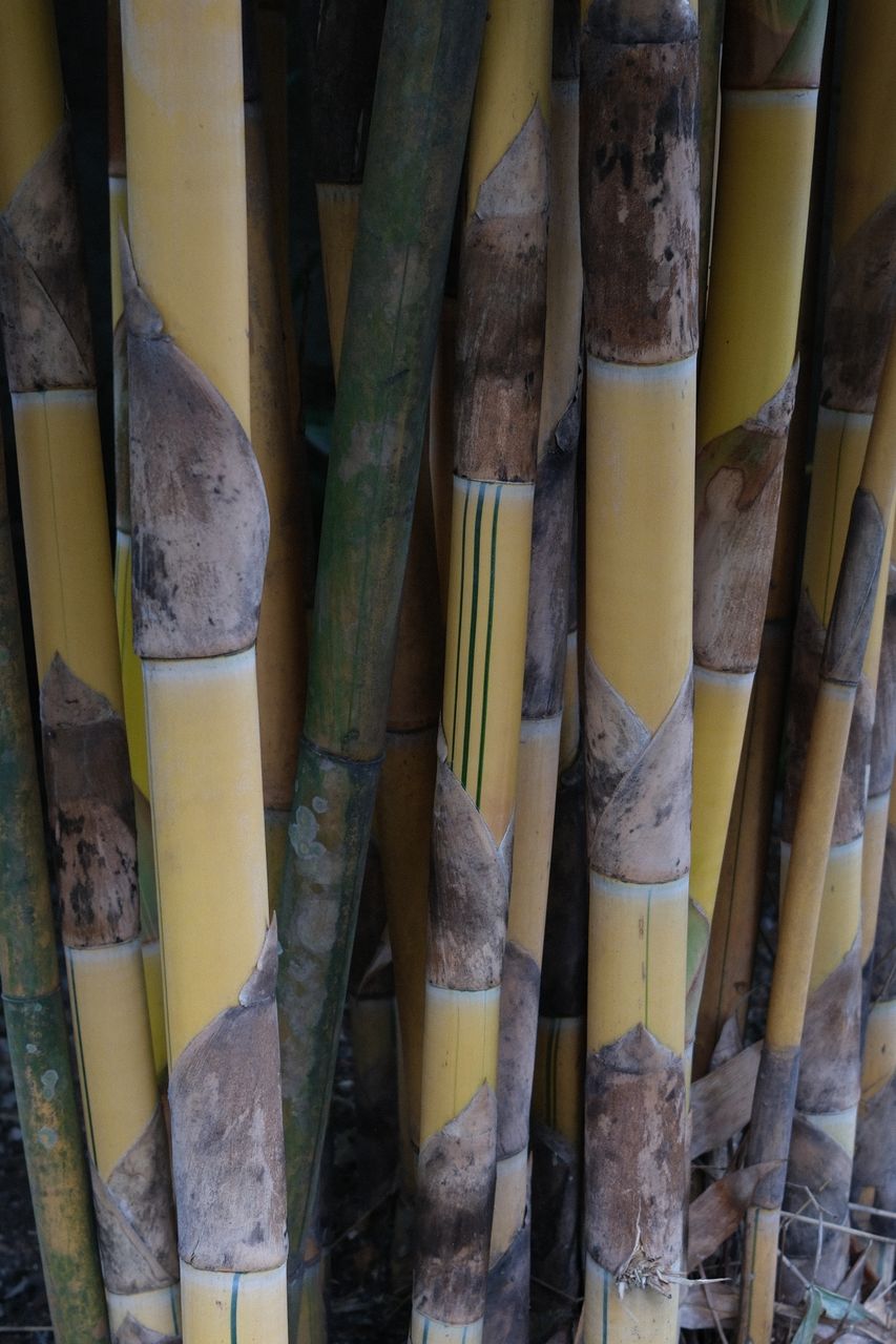 Cure — Noticed workshop, Bali